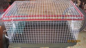 8 x 16 x 10 overall height 8 in interior, galvanized after weld wire, 29.50 